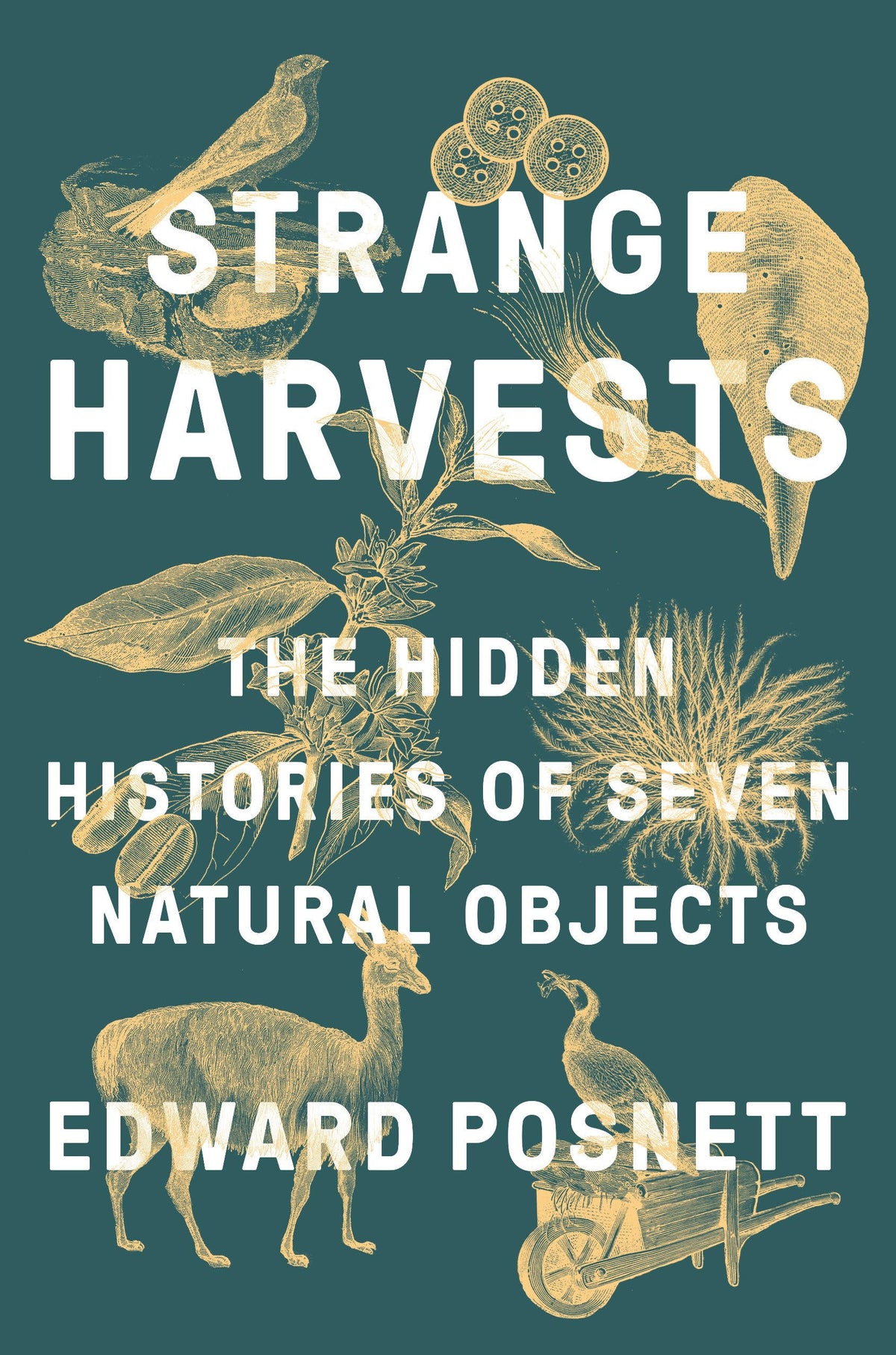Strange Harvests: The Hidden Histories of Seven Natural Objects by Posnett, Edward