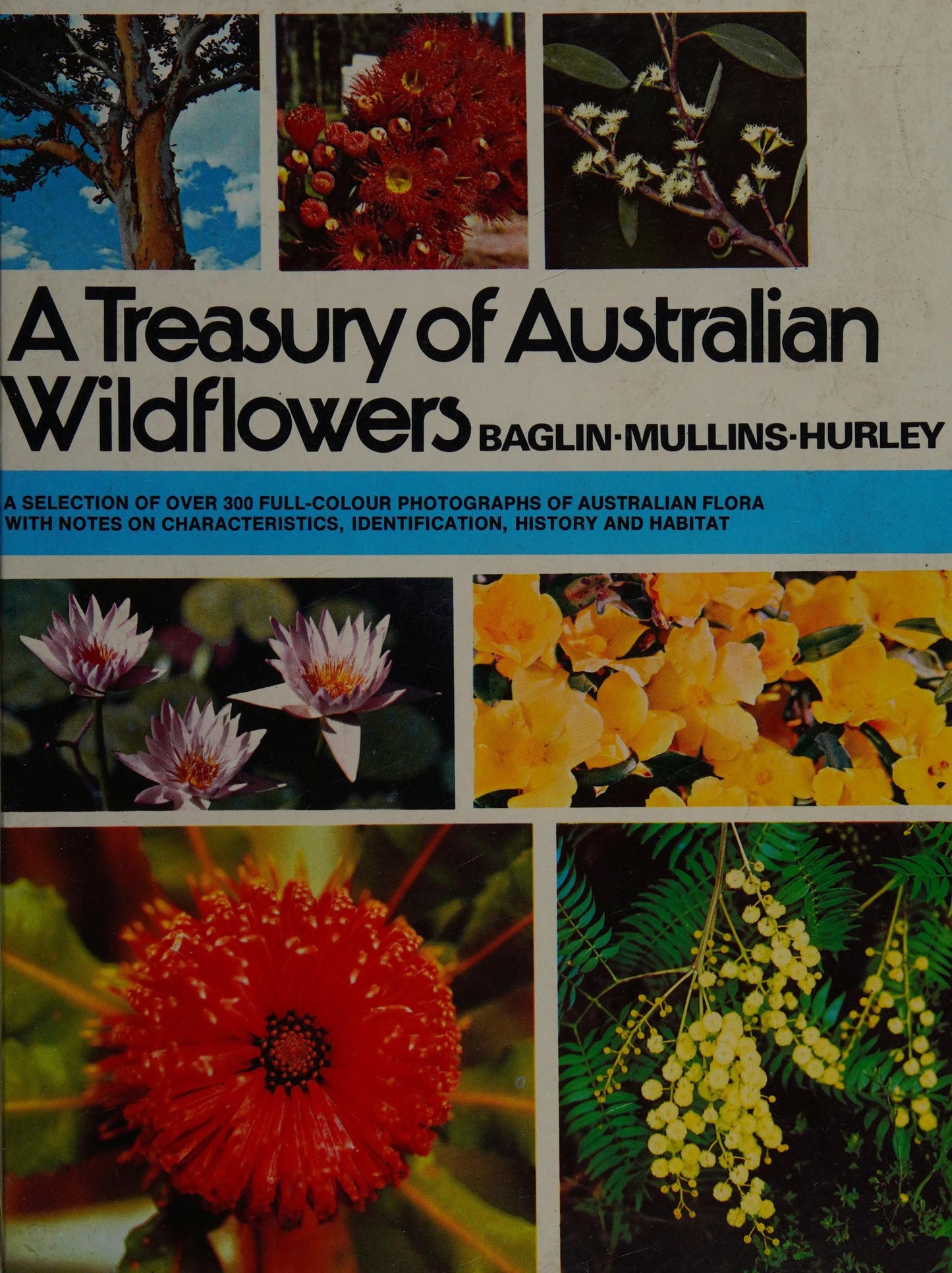 A Treasury of Australian Wildflowers by Douglass Baglin,Barbara Mullins - USED