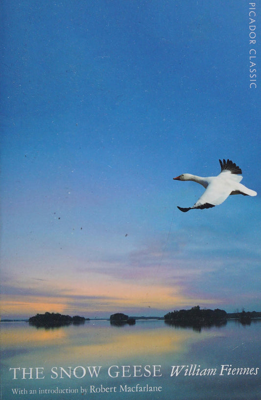 The Snow Geese by William Fiennes