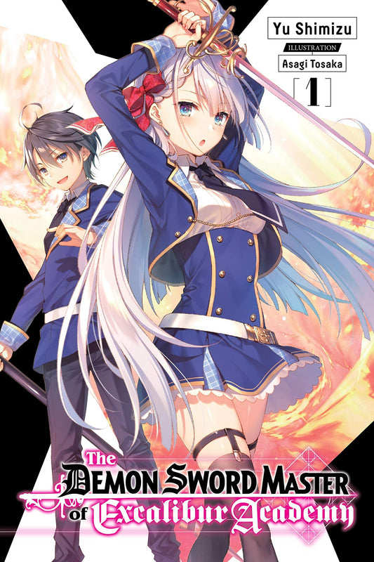 The Demon Sword Master of Excalibur Academy, Vol. 1 (light Novel) by Yu Shimizu