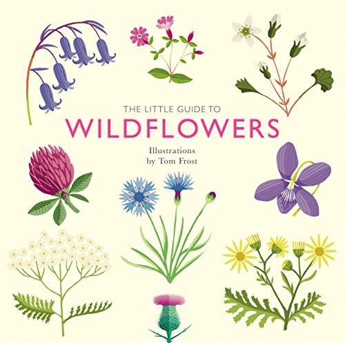 The Little Guide to Wildflowers by Alison Davies Quadrille Publishing, Limited