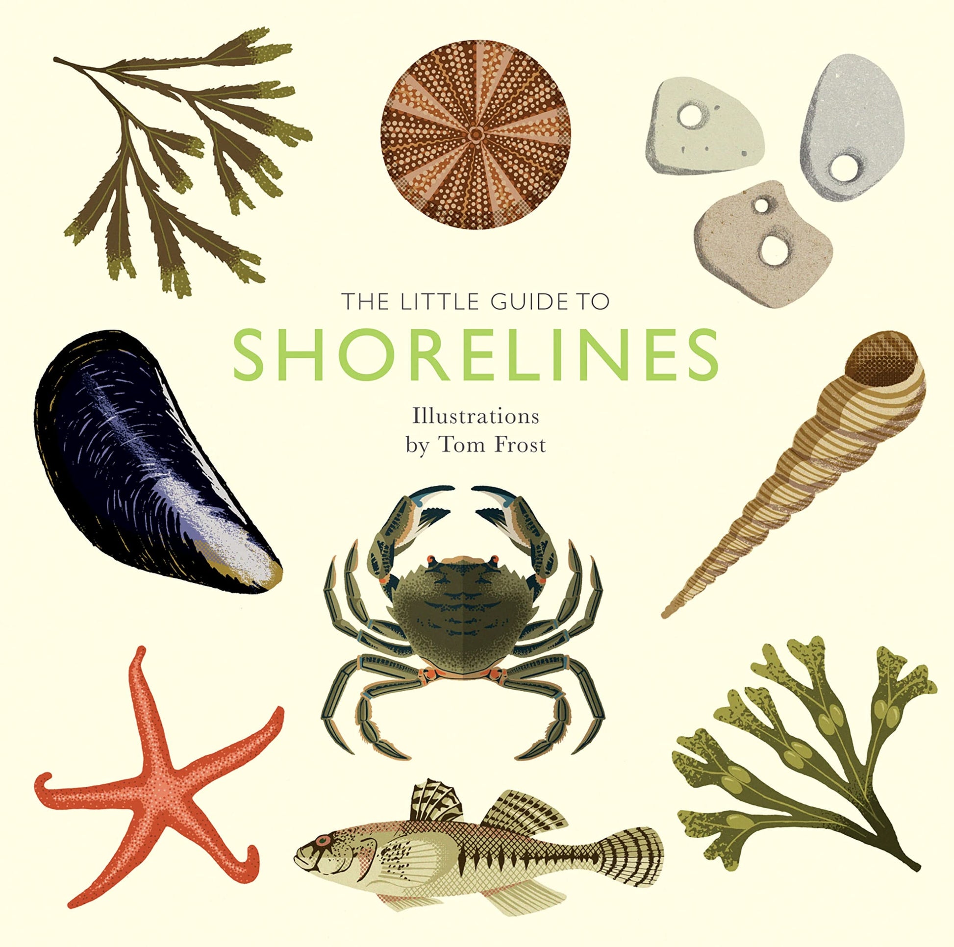 The Little Guide to Shorelines by Alison Davies Quadrille Publishing, Limited