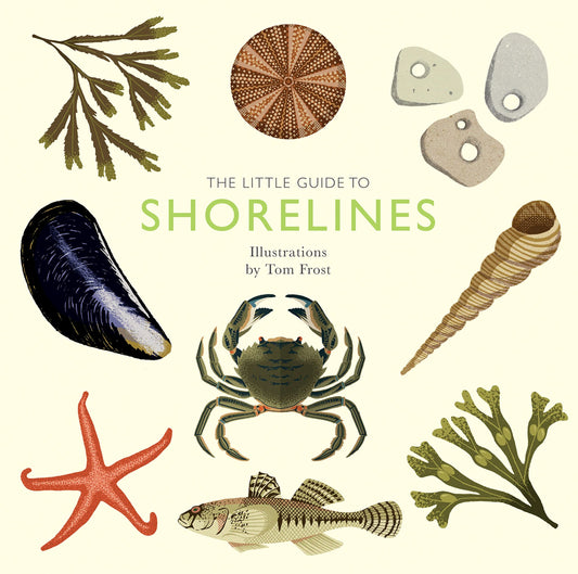 The Little Guide to Shorelines by Alison Davies Quadrille Publishing, Limited