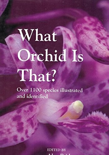 What Orchid is That? by Pridgeon Alec - USED