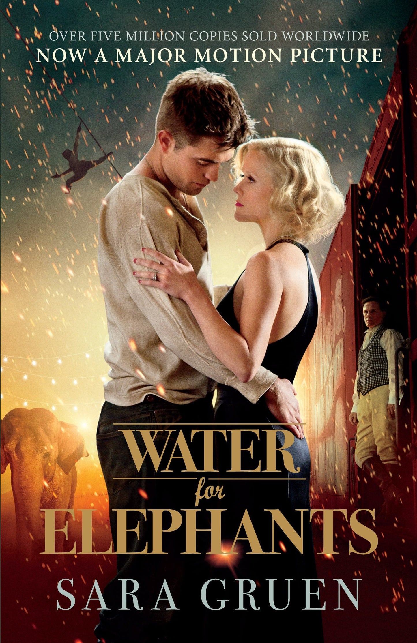 Water for Elephants - USED