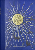The Sun Also Rises by Ernst Hemmingway