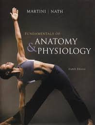 Fundamentals of Anatomy & Physiology by Frederic Martini,Judi Lindsley Nath - USED