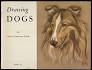 Drawing Dogs - USED