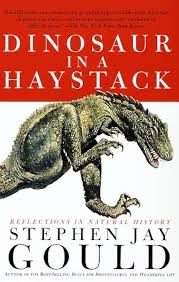 Dinosaur in a Haystack Reflections in Natural History by Stephen Jay Gould - USED