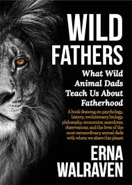 Wild Fathers - Second Hand Copy - USED