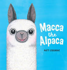 Macca the Alpaca - USED
