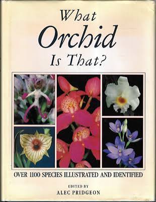 What Orchid is That? by Alec Pridgeon - USED