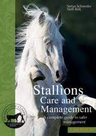 Stallions Care & Management